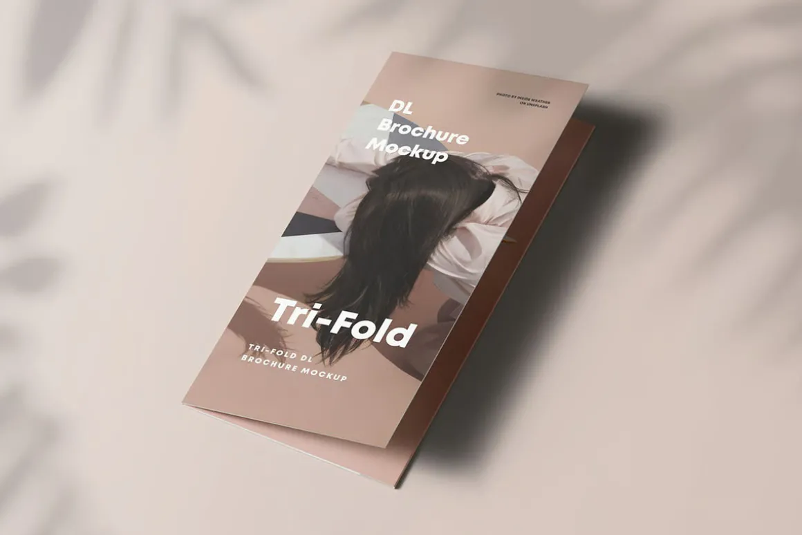 Tri-Fold DL Brochure Mock-up