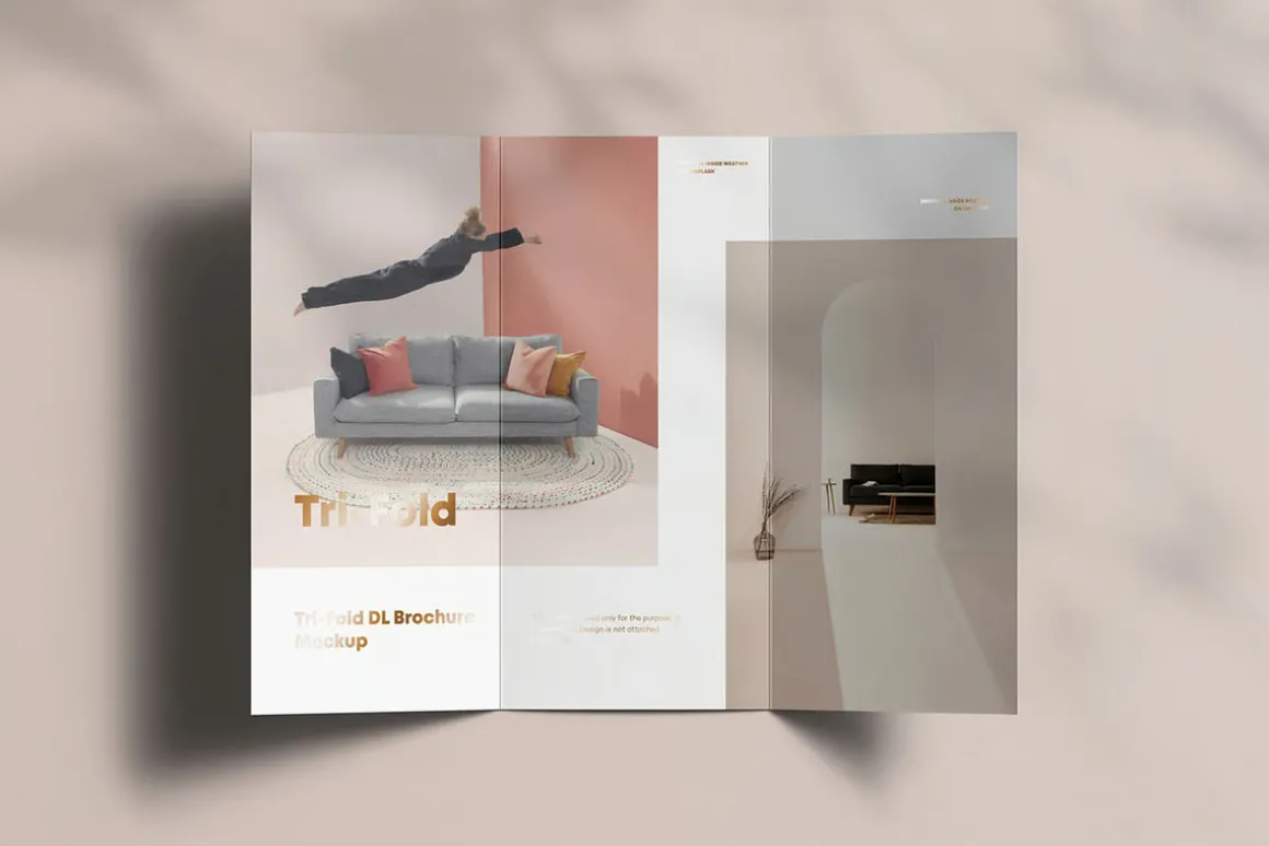 Tri-Fold DL Brochure Mock-up