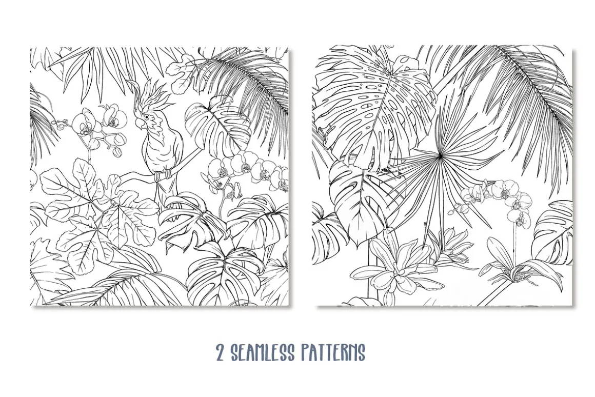 Tropical Plants and Birds Outline