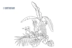 Tropical Plants and Birds Outline
