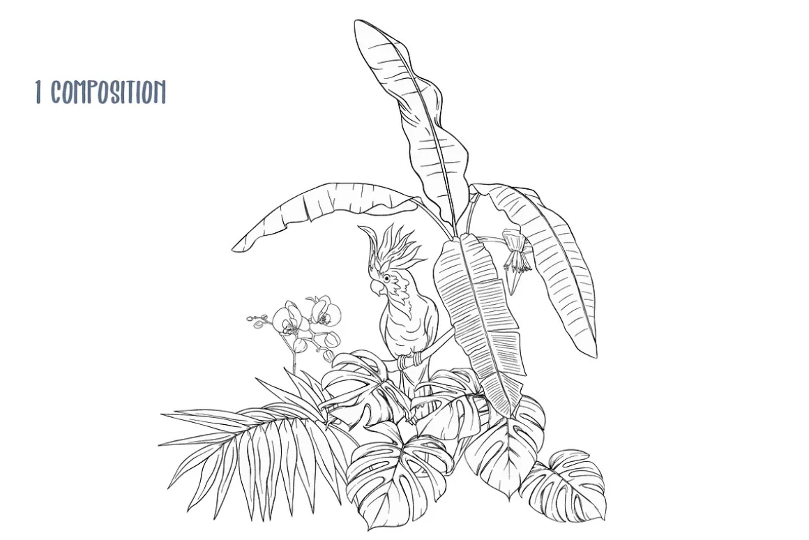 Tropical Plants and Birds Outline