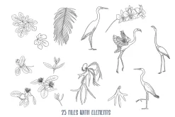Tropical Plants and Birds Outline