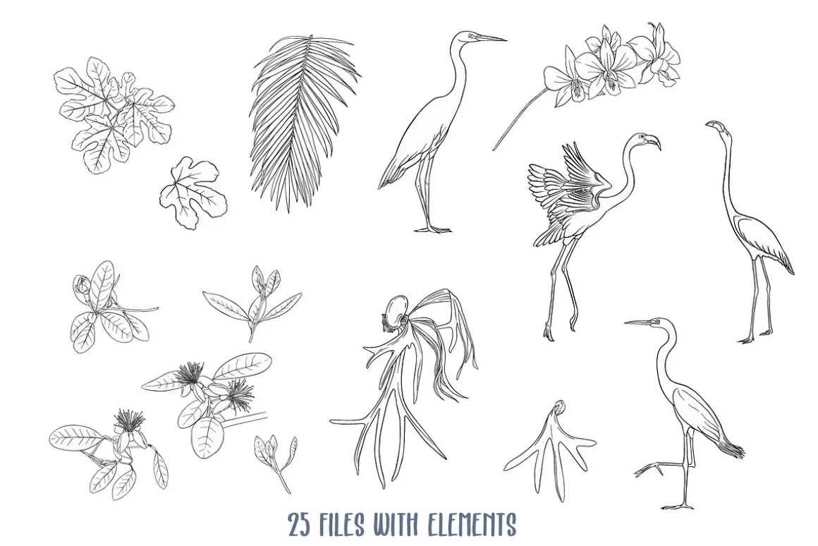 Tropical Plants and Birds Outline