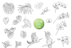 Tropical Plants and Birds Outline