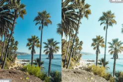Tropical Summer Lightroom Presets
