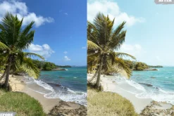 Tropical Summer Lightroom Presets
