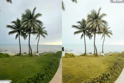 Tropical Summer Lightroom Presets