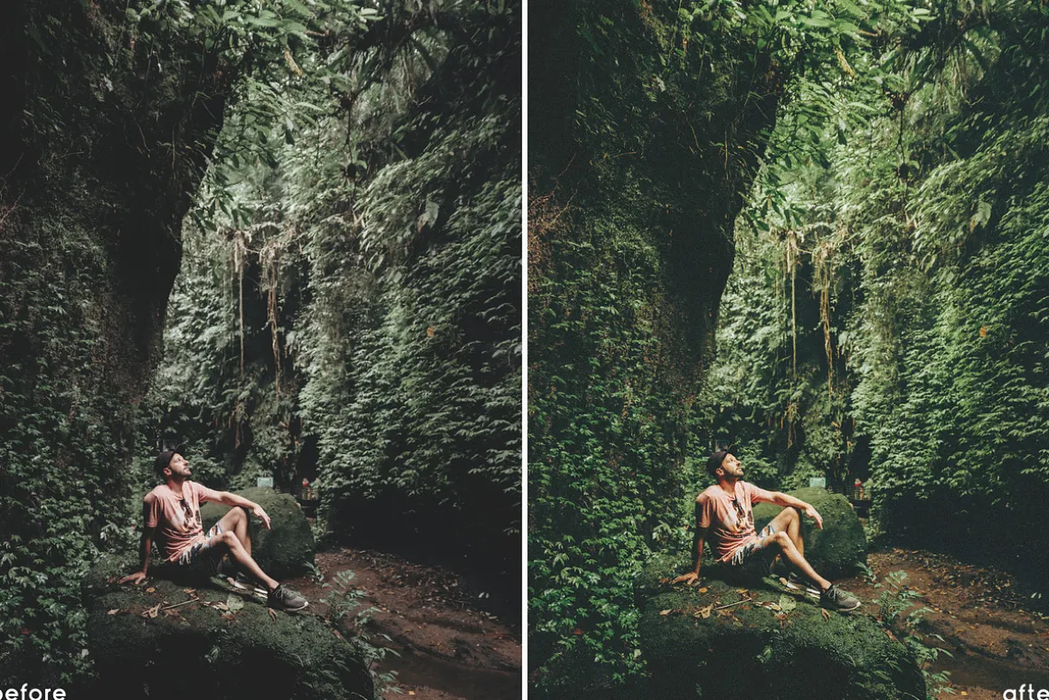 Tropical Vibes Lightroom Presets