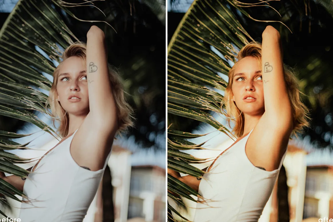 Tropical Vibes Lightroom Presets
