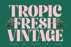 Tropic Fresh Bold Vintage Serif