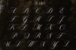 Tropic Hills | Hybrid Display