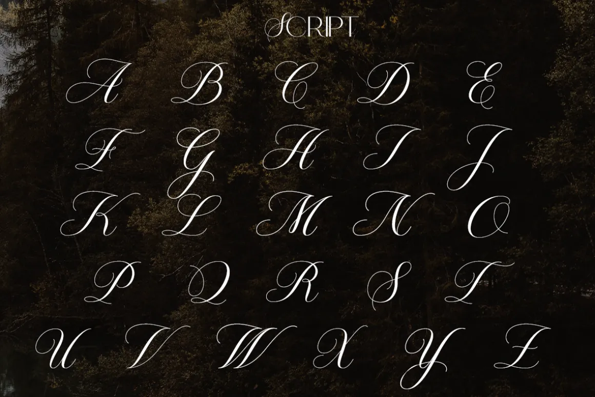 Tropic Hills | Hybrid Display