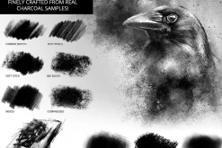 Ultimate Brush Toolbox – Charcoal