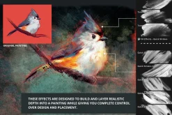 Ultimate Art Effects Toolbox – Oil