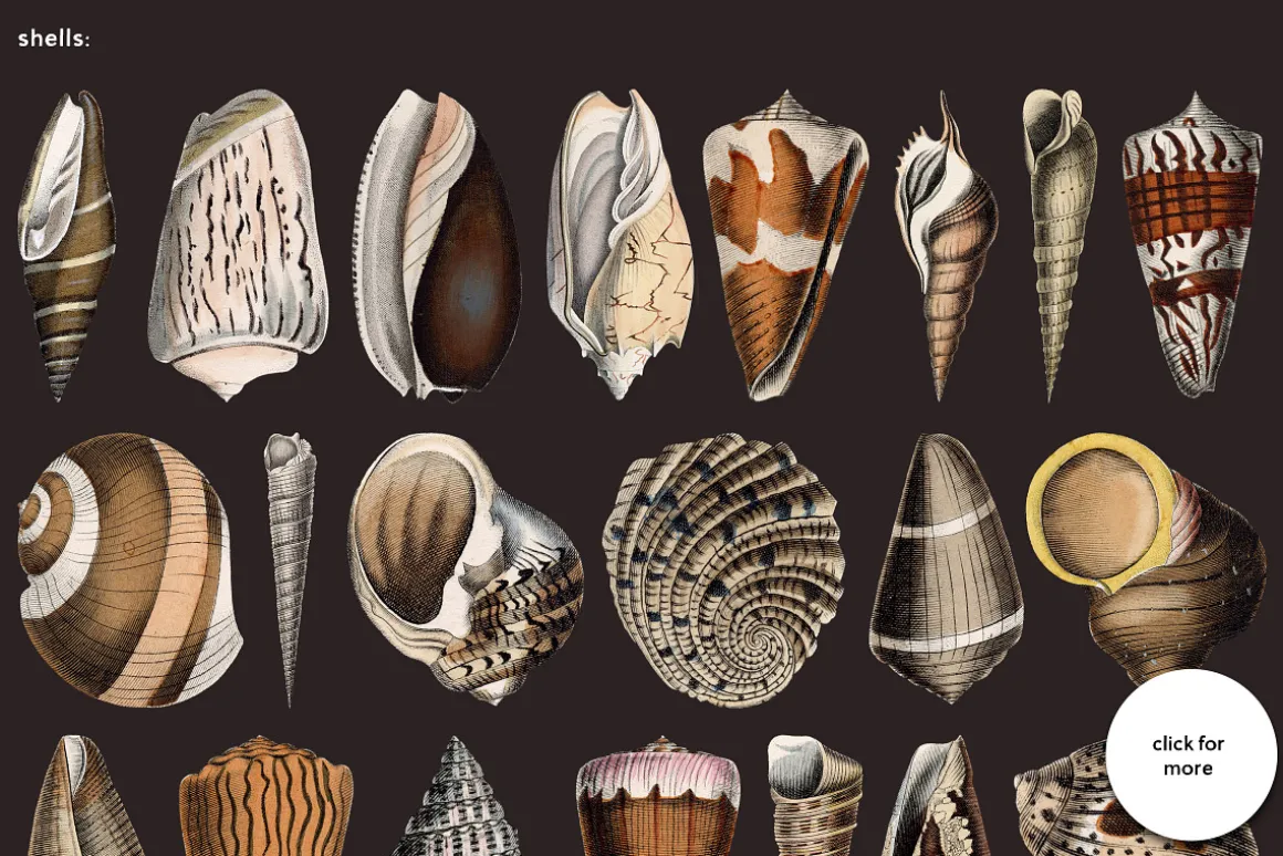 Ultimate Vintage Collage Creator