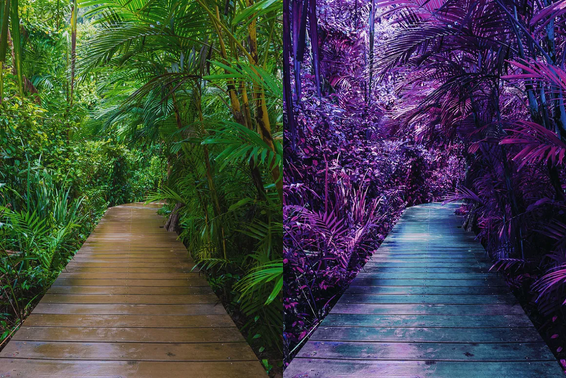 25 Ultraviolet Lightroom Presets LUT