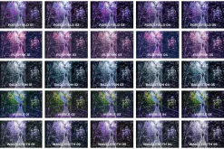 25 Ultraviolet Lightroom Presets LUT