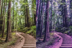 25 Ultraviolet Lightroom Presets LUT