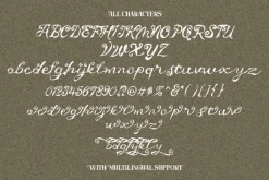 Untold Chapter Rustic Script & Serif
