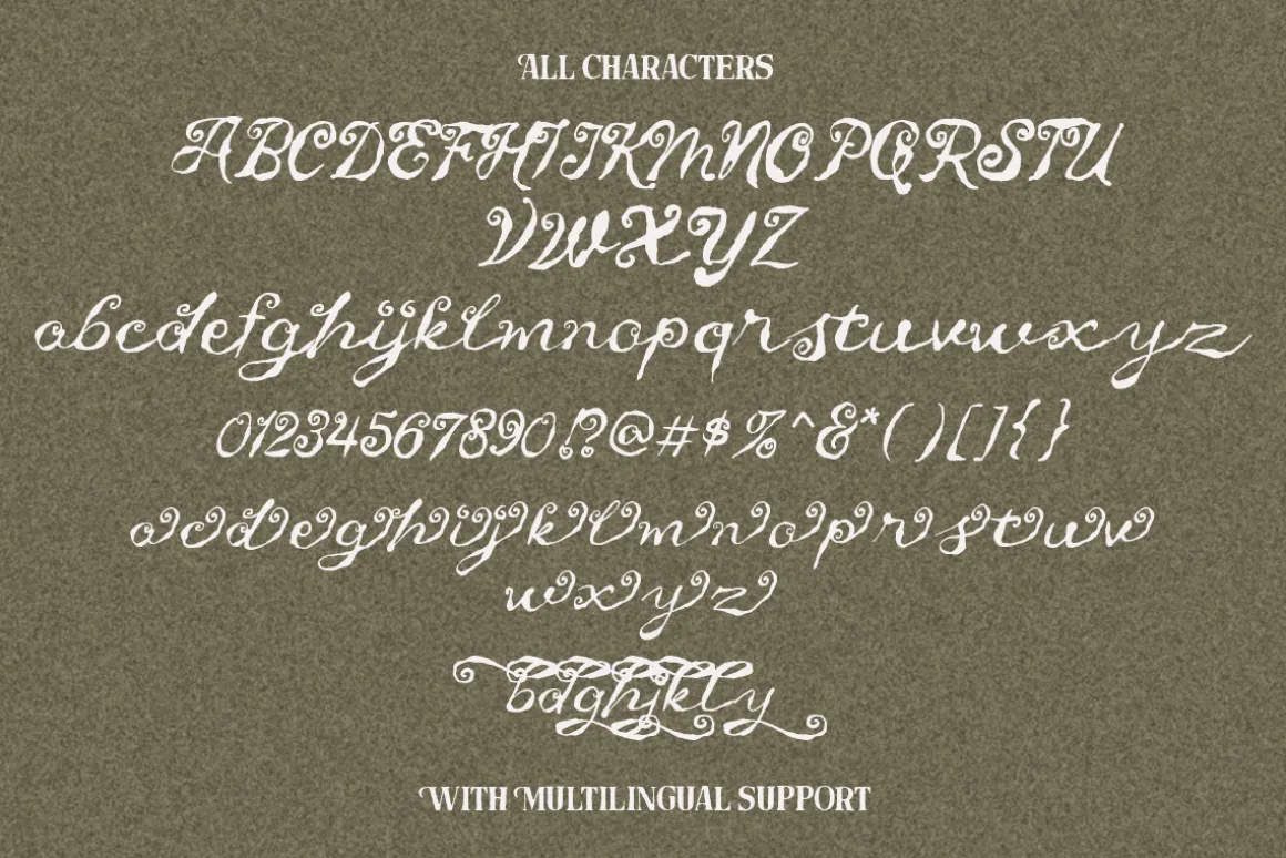 Untold Chapter Rustic Script & Serif