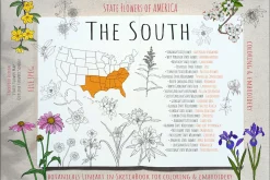 50 US State Flowers Coloring Pages