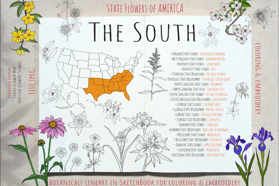 50 US State Flowers Coloring Pages