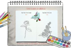 50 US State Flowers Coloring Pages
