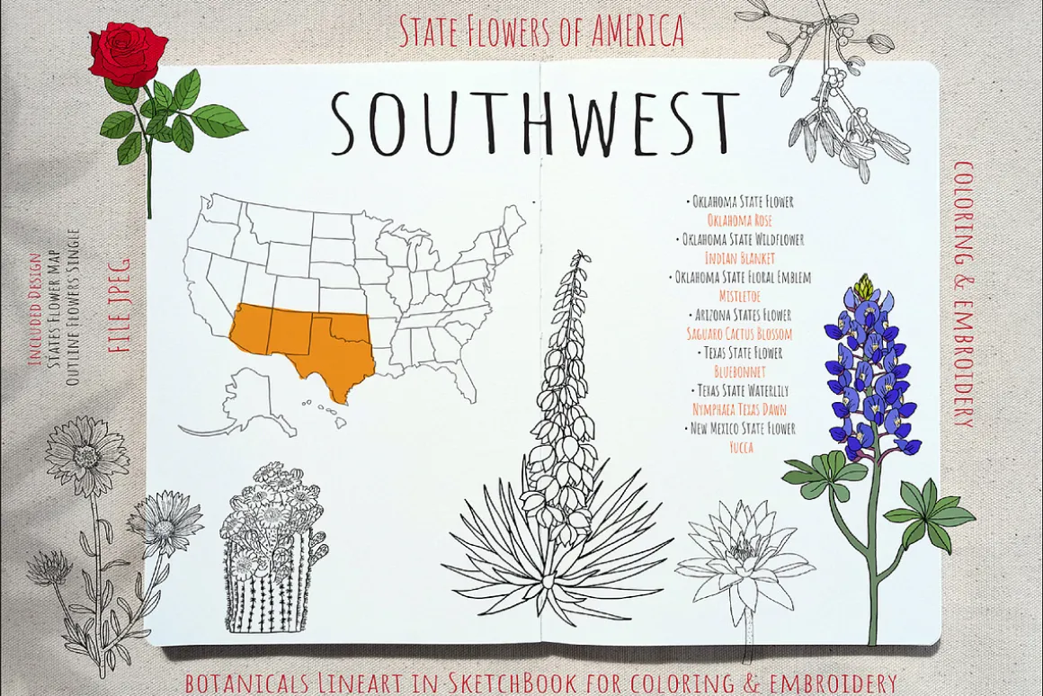 50 US State Flowers Coloring Pages