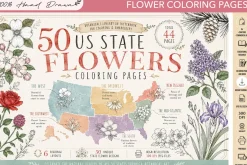 50 US State Flowers Coloring Pages