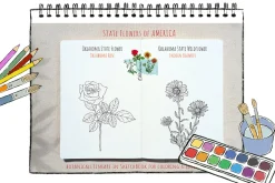 50 US State Flowers Coloring Pages
