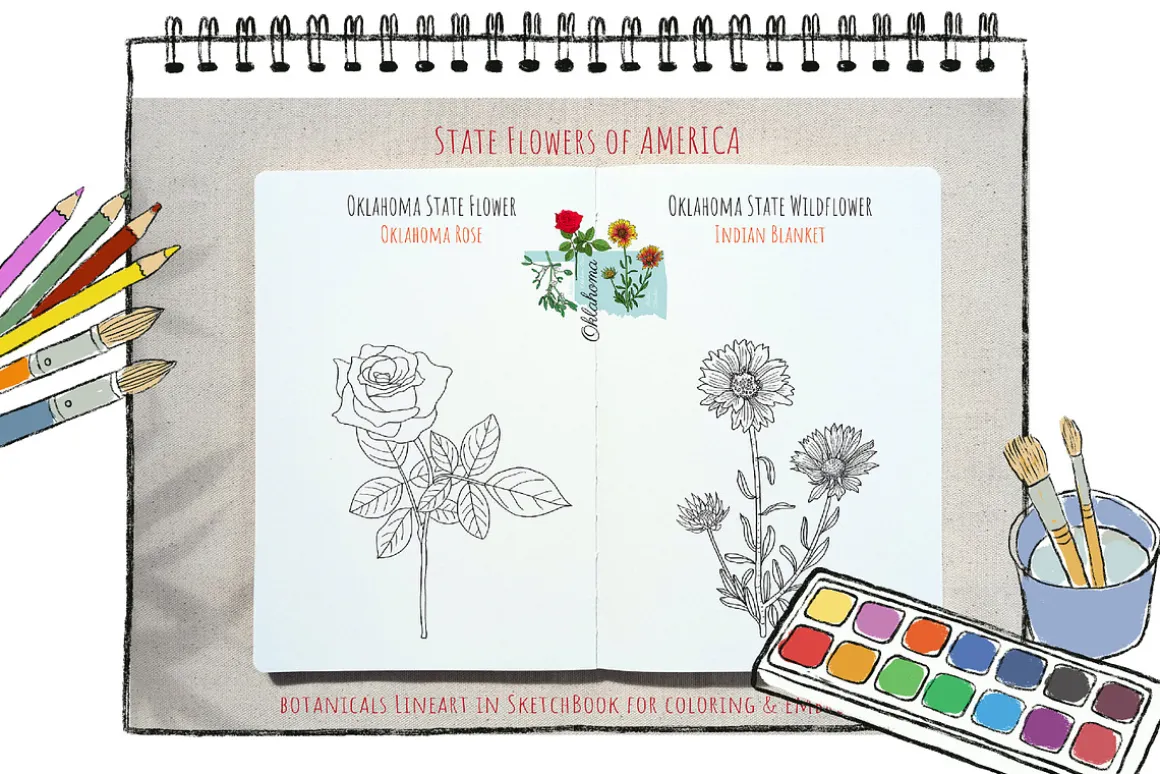 50 US State Flowers Coloring Pages