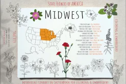 50 US State Flowers Coloring Pages