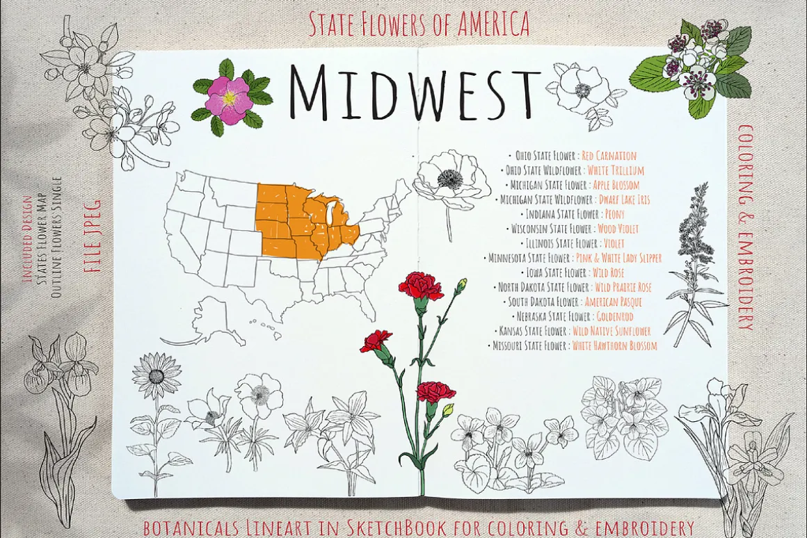 50 US State Flowers Coloring Pages