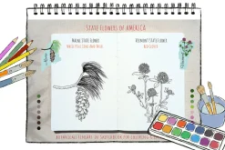 50 US State Flowers Coloring Pages