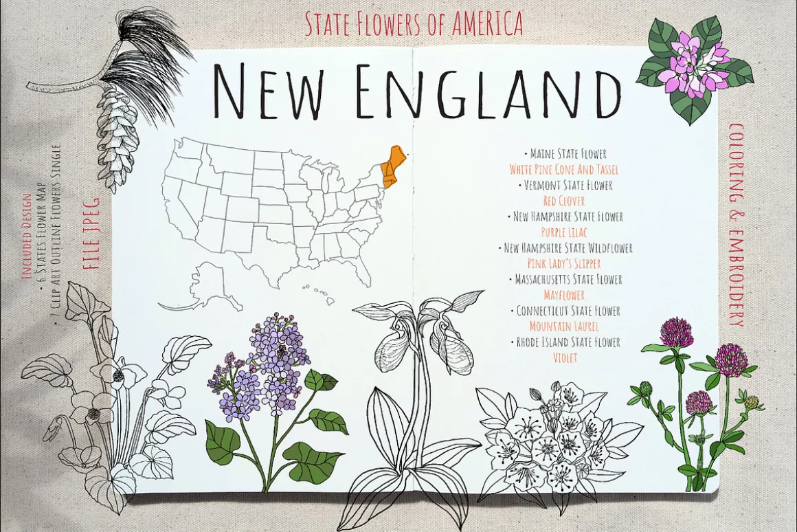 50 US State Flowers Coloring Pages