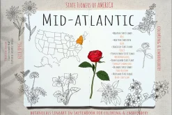 50 US State Flowers Coloring Pages