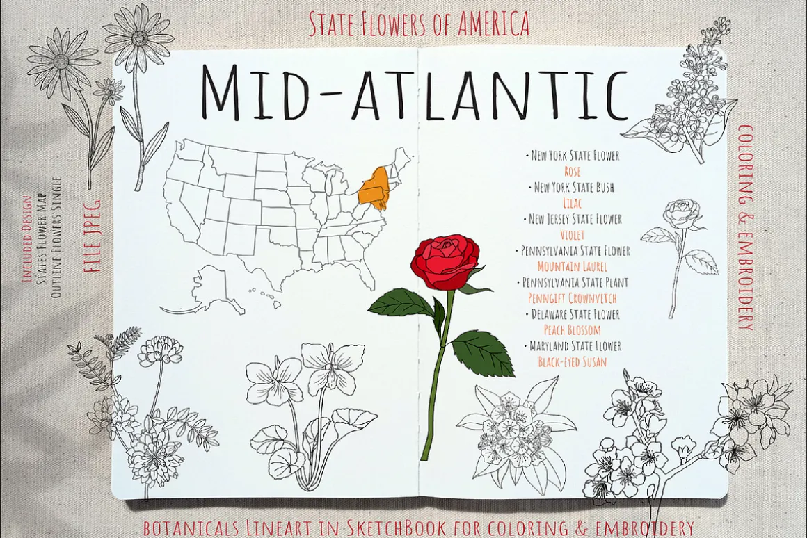 50 US State Flowers Coloring Pages