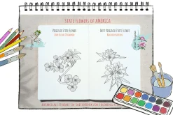 50 US State Flowers Coloring Pages