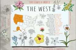 50 US State Flowers Coloring Pages