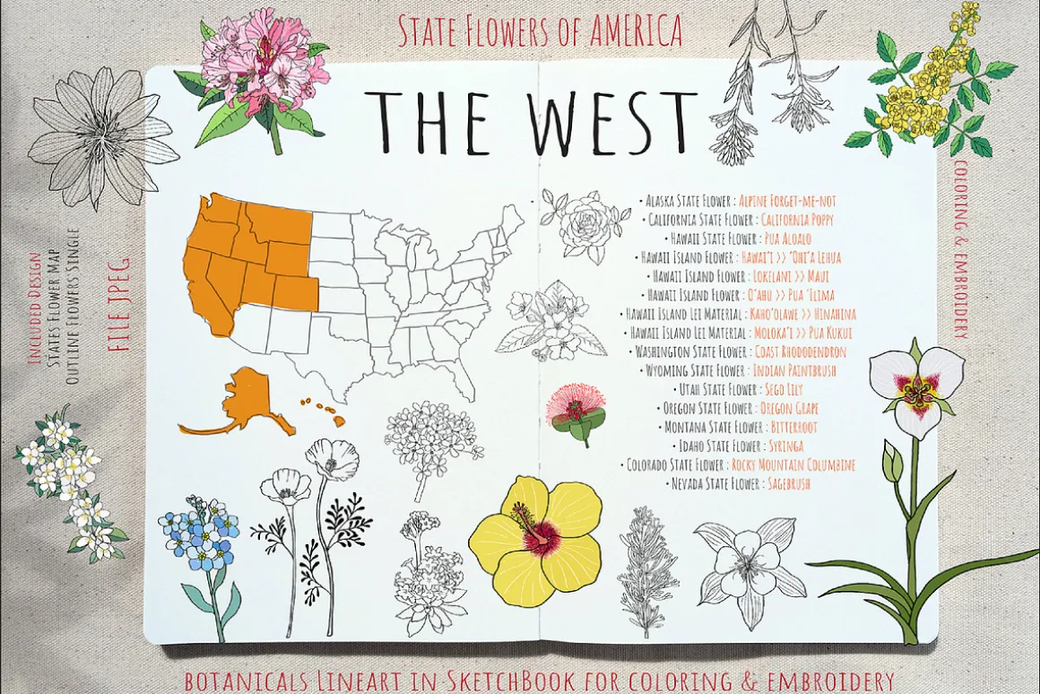 50 US State Flowers Coloring Pages
