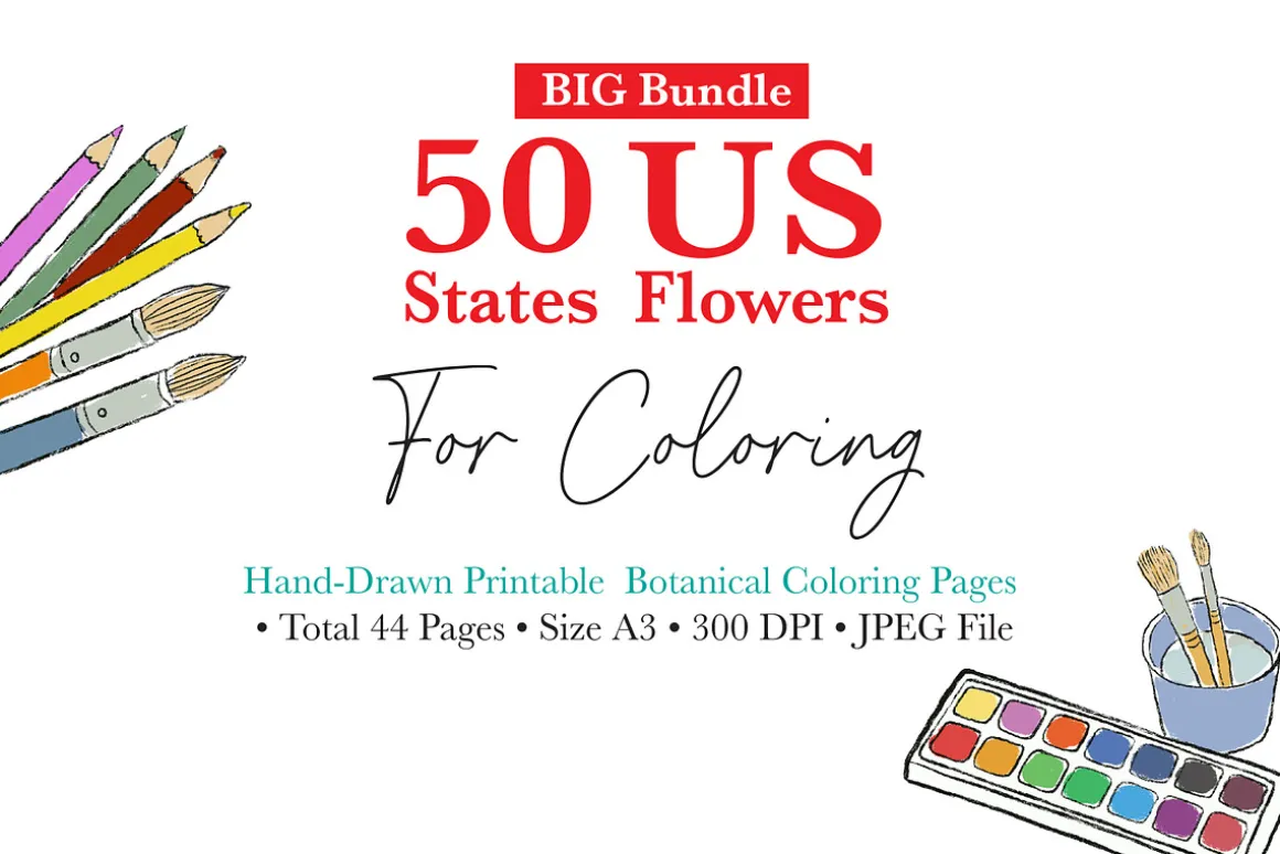 50 US State Flowers Coloring Pages