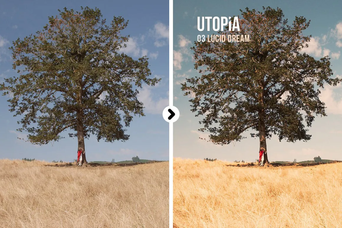 Utopia Landscape Presets