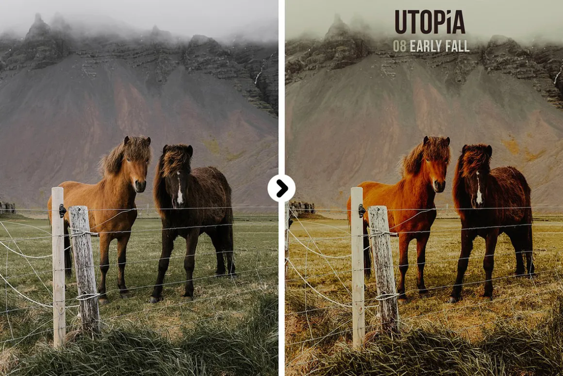 Utopia Landscape Presets