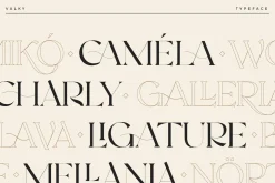 Valky Classic Modern Typeface