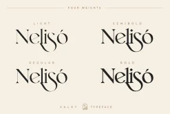 Valky Classic Modern Typeface