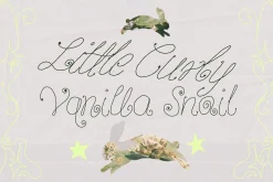 Vanilla Snail Curly Font Collection