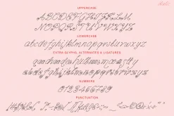 Vanilla Snail Curly Font Collection