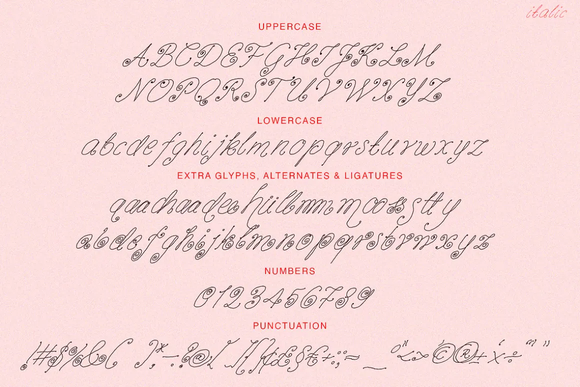 Vanilla Snail Curly Font Collection
