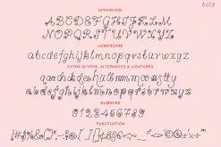 Vanilla Snail Curly Font Collection