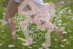 Vanilla Snail Curly Font Collection